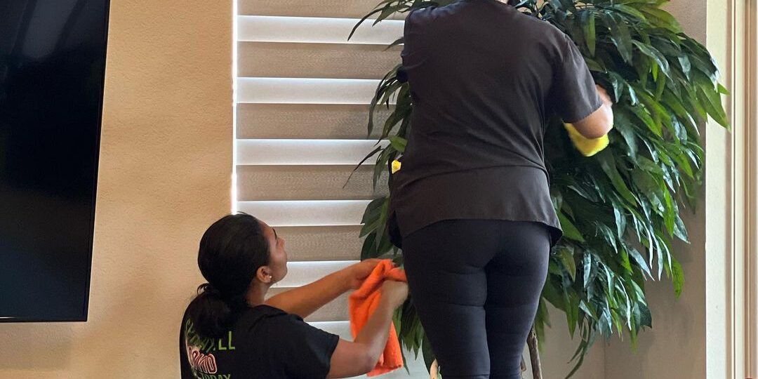 OCD Cleaners,OCDcleaners,ocd House cleaning San Antonio,House cleaning services San Antonio,San Antonio house cleaning,San Antonio commercial cleaning,ocd cleaners,cleaning services San Antonio,House cleaning services san antonio,Residential cleaning services,Residential cleaning services San Antonio,hoarding cleanup san antonio,cleaning services,hoarders cleaners,cleaning service san antonio,house cleaning service,cleaning services near me,Commercial Cleaning Services,ocdcleaners,ocd cleaners,house cleaning services in San Antonio,house cleaning services San Antonio,Hoarding Cleaning Service in Sattler